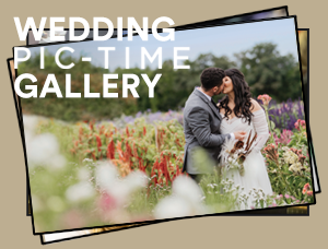 PicTime Wedding Gallery
