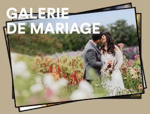 Vimeo Film Strip - EU-UK